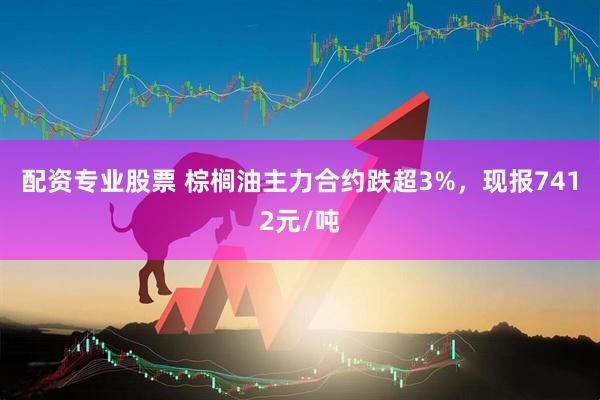 配资专业股票 棕榈油主力合约跌超3%，现报7412元/吨