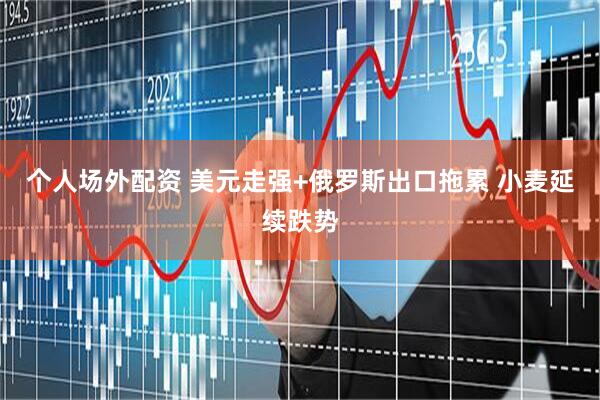 个人场外配资 美元走强+俄罗斯出口拖累 小麦延续跌势