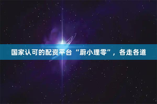 国家认可的配资平台 “蔚小理零”，各走各道